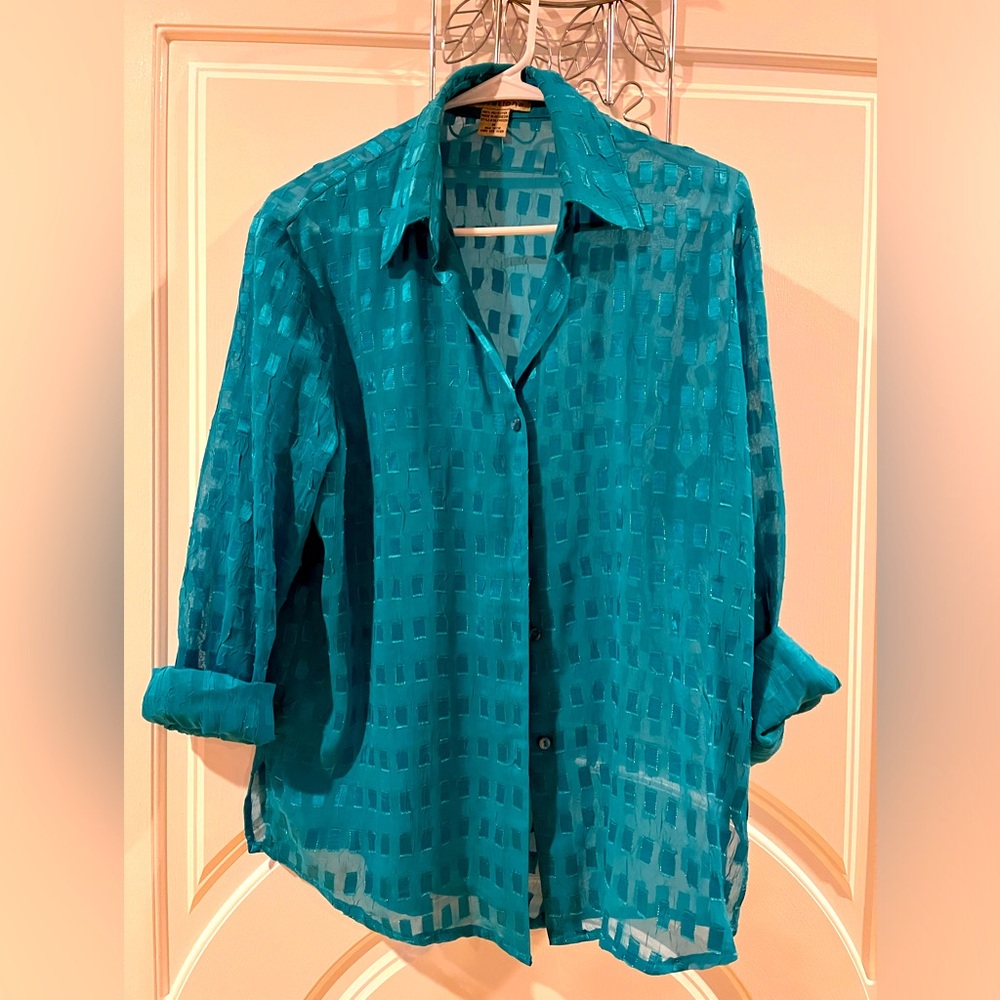 Sheer Blouse
